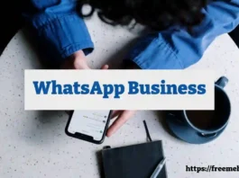 WhatsApp Business Kya Hai